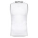 CAMISETA S/M GOBIK LIMBER SKIN ICELANDIC