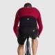 MAILLOT ASSOS MILLE GT 2/3 LS C2*