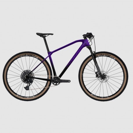 RIDLEY IGNITE SLX GX Eagle